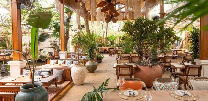 Untitled design - 2026-01-24T121043.871