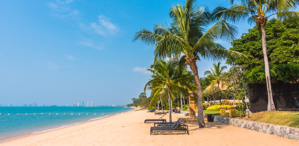 Untitled design - 2026-01-24T121924.689