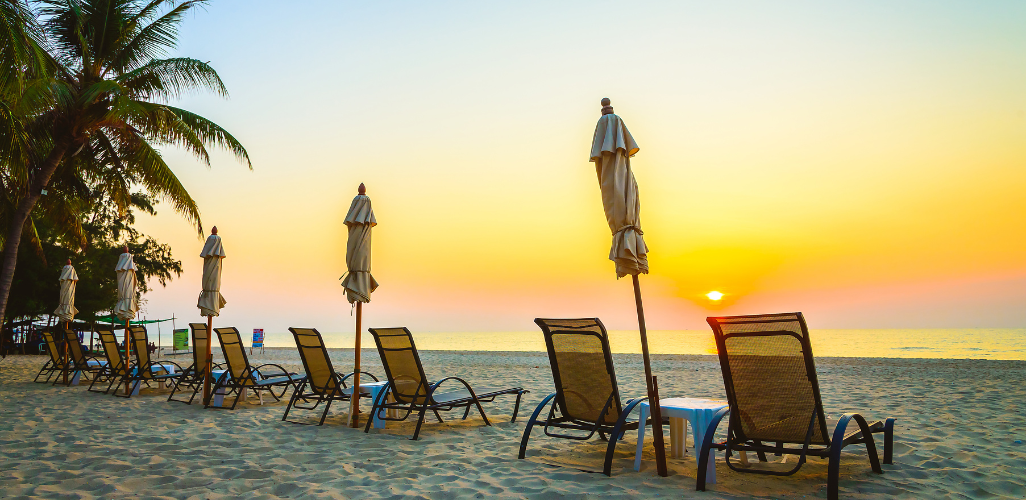 Untitled design - 2026-01-24T122040.468