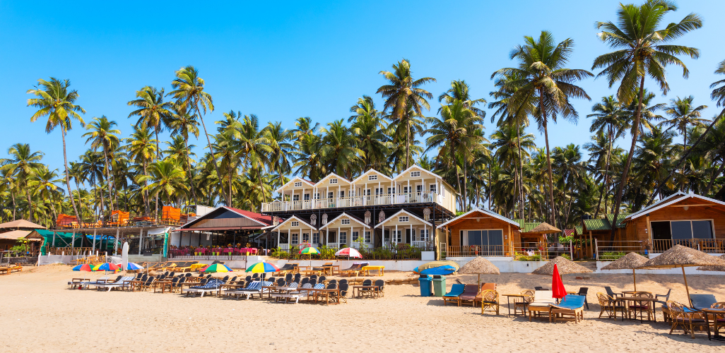 Untitled design - 2026-01-24T122146.967