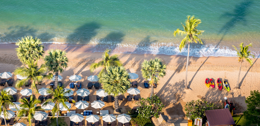 Untitled design - 2026-01-24T122425.685