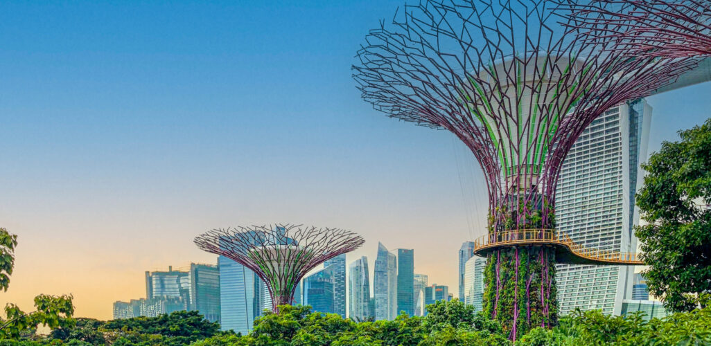 Scenery of the Supertree Grove garden with skyline in the background during sunset in Singapore